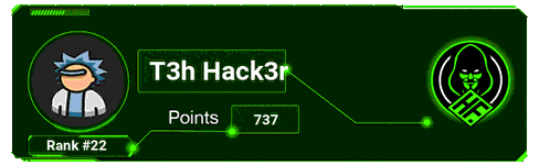 T3h Hack3r's signature